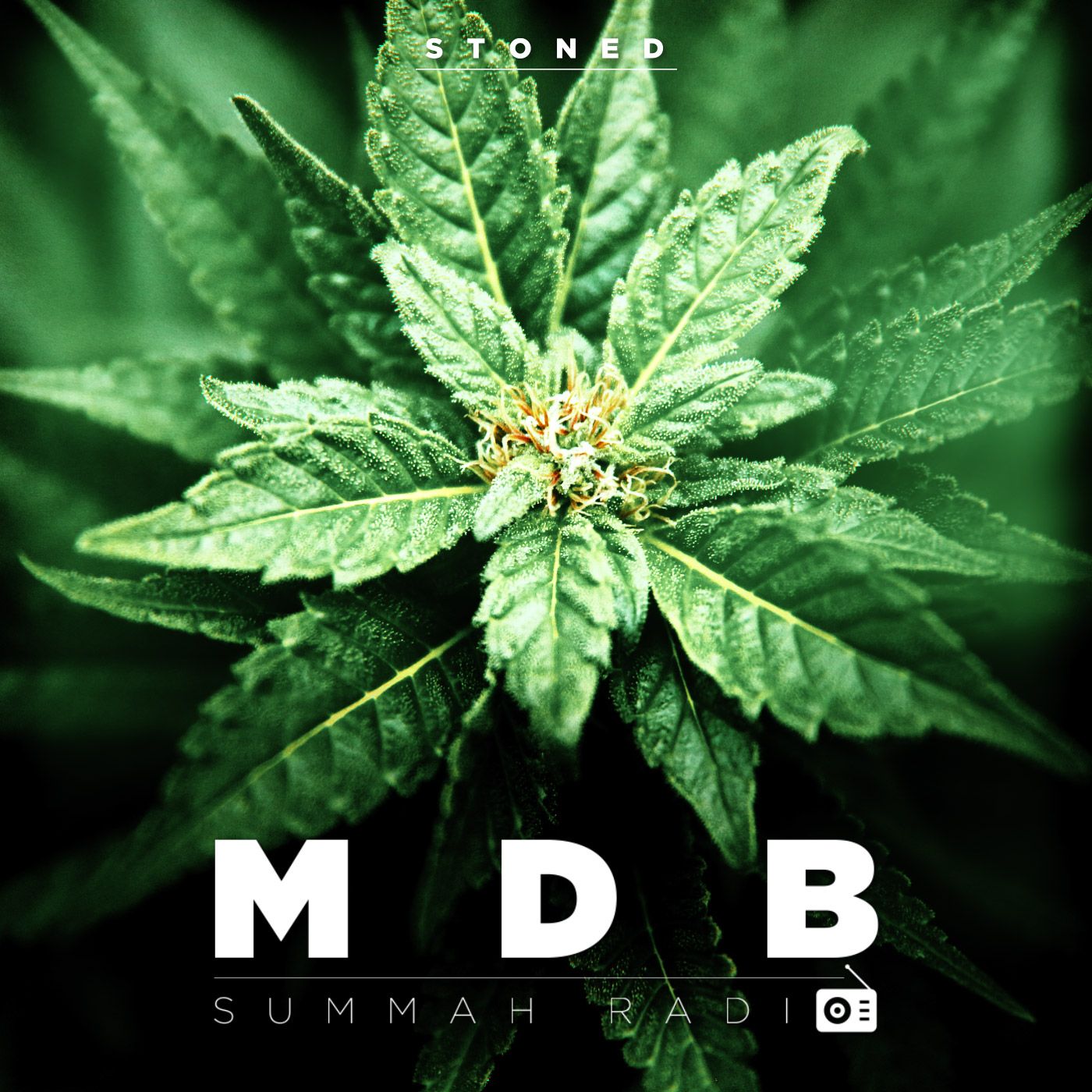 MDB Summah Radio ep. 5 "Stoned"