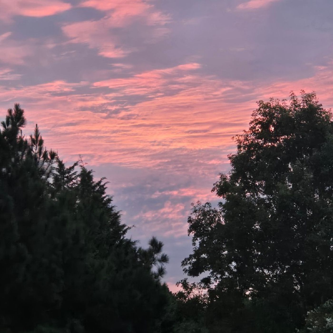 Episode 14 - Thank you OH MOST HIGH YAH🙌🏾 Episode 14 - Thank you OH MOST HIGH YAH🙌🏾