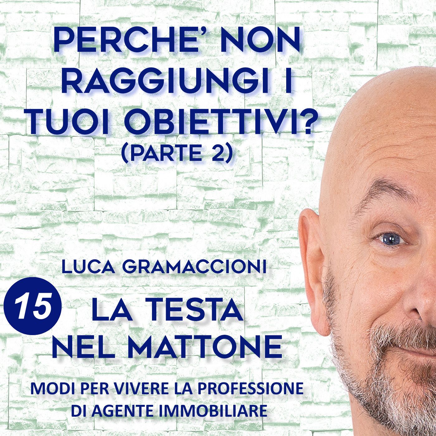 LA TESTA NEL MATTONE