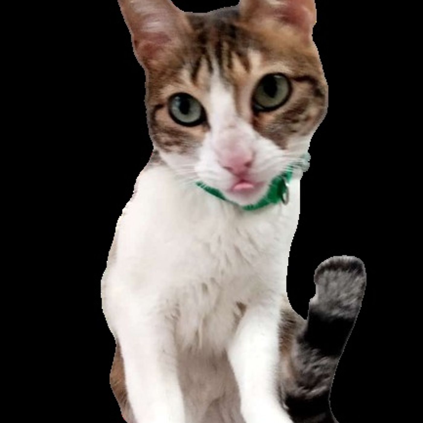 Diseño práctica educativa PLE