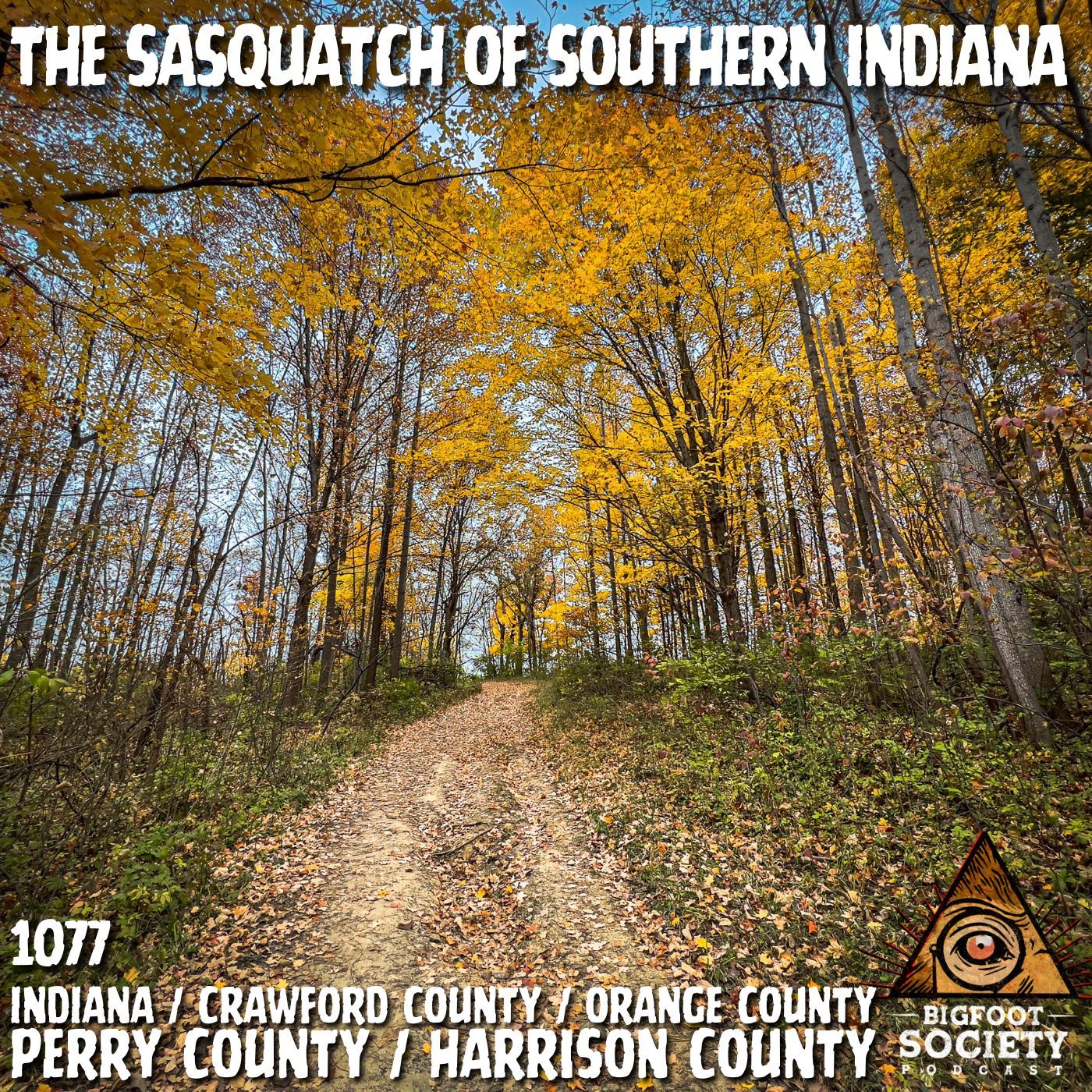 A Couple Shares Years Of Encounters Deep In Indiana’s Hoosier National Forest