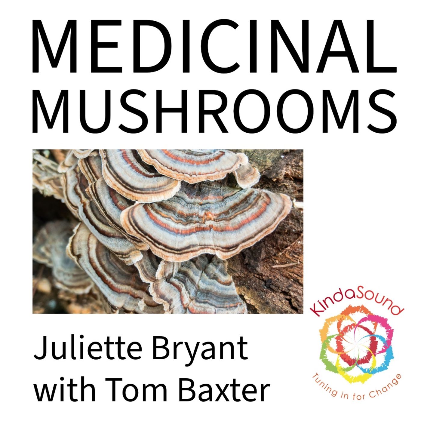 Medicinal Mushrooms with Juliette Bryant and Tom Baxter Medicinal Mushrooms with Juliette Bryant and Tom Baxter