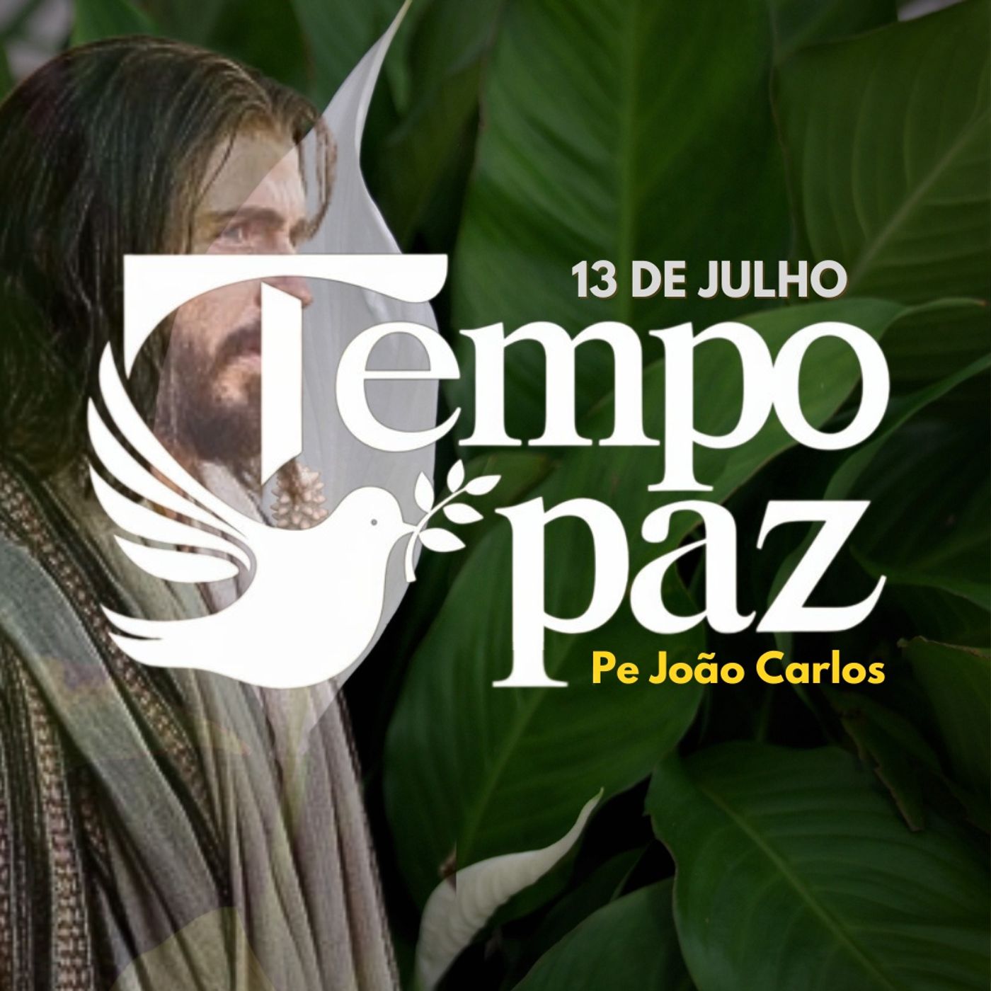 Pe. João Carlos - Meditação da Palavra