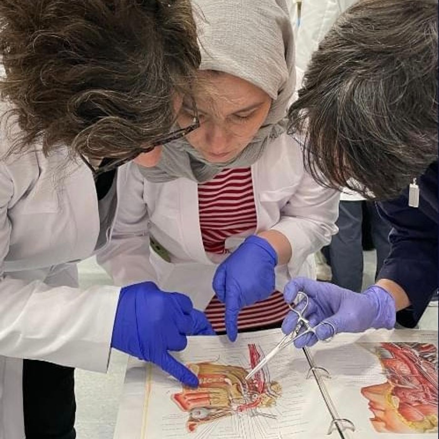 Bilimsel spekülasyonlar cover art