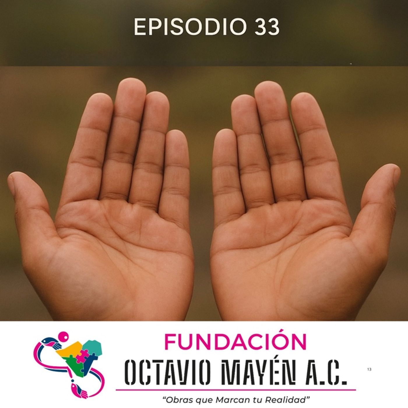 Episodio 33 - Programas Activos Para Ayudar episode artwork