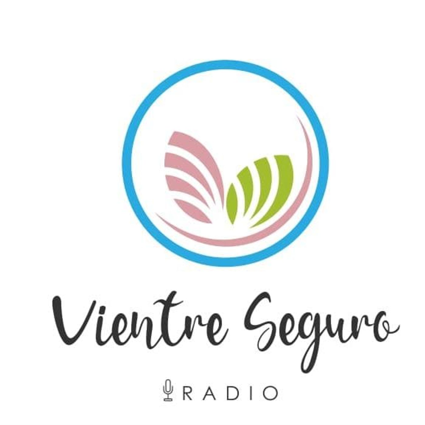 VIENTRE SEGURO