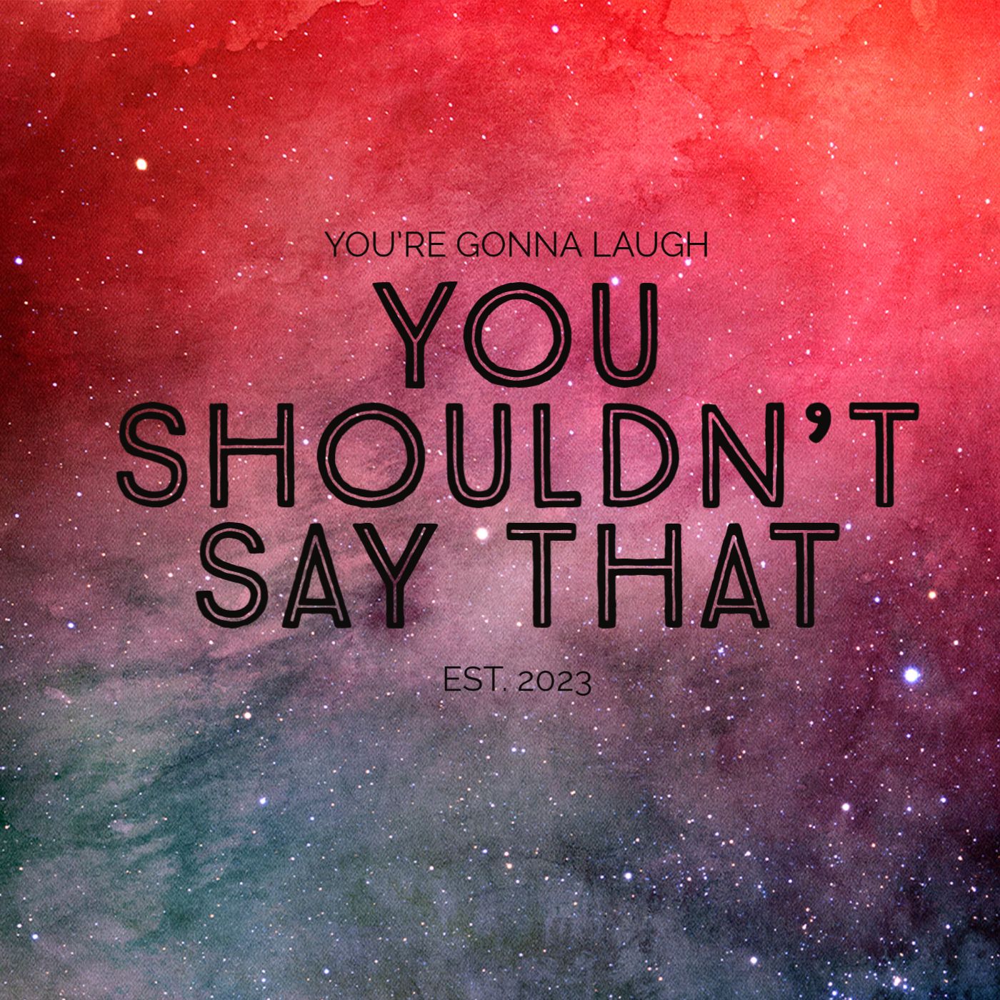 You Shouldn\'t Say That