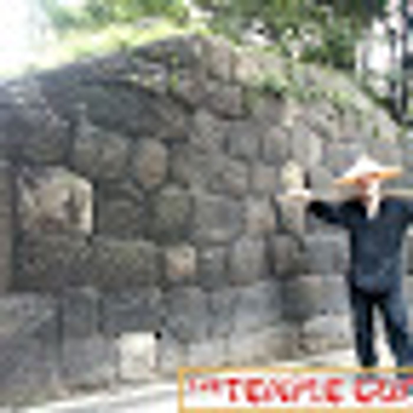Temple Tales Newsletter and Podcast