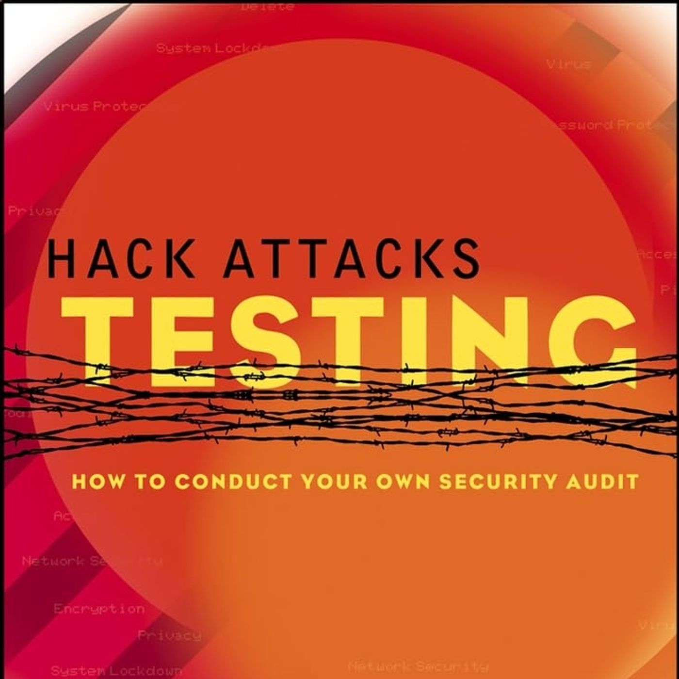 Hack Attacks Testing: How to Conduct Your Own Security Audit
