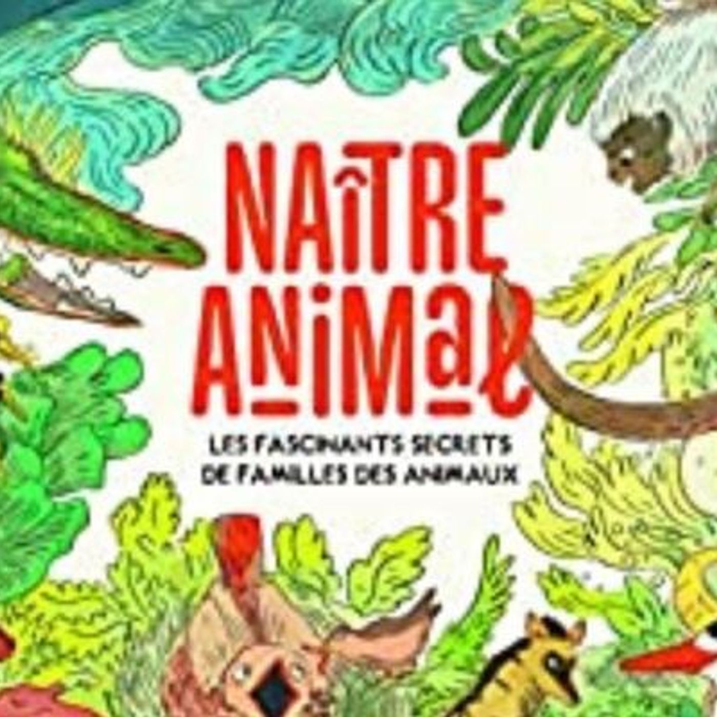 "Naitre animal" (éd. Casterman) : un magnifique album sur la diversité des schémas familiaux episode artwork