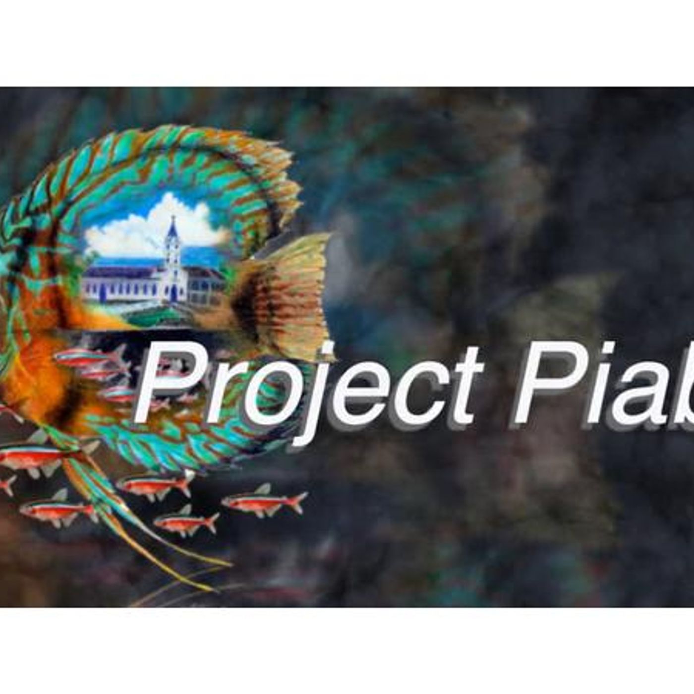 Project Piaba Buy A Fish Save A Tree