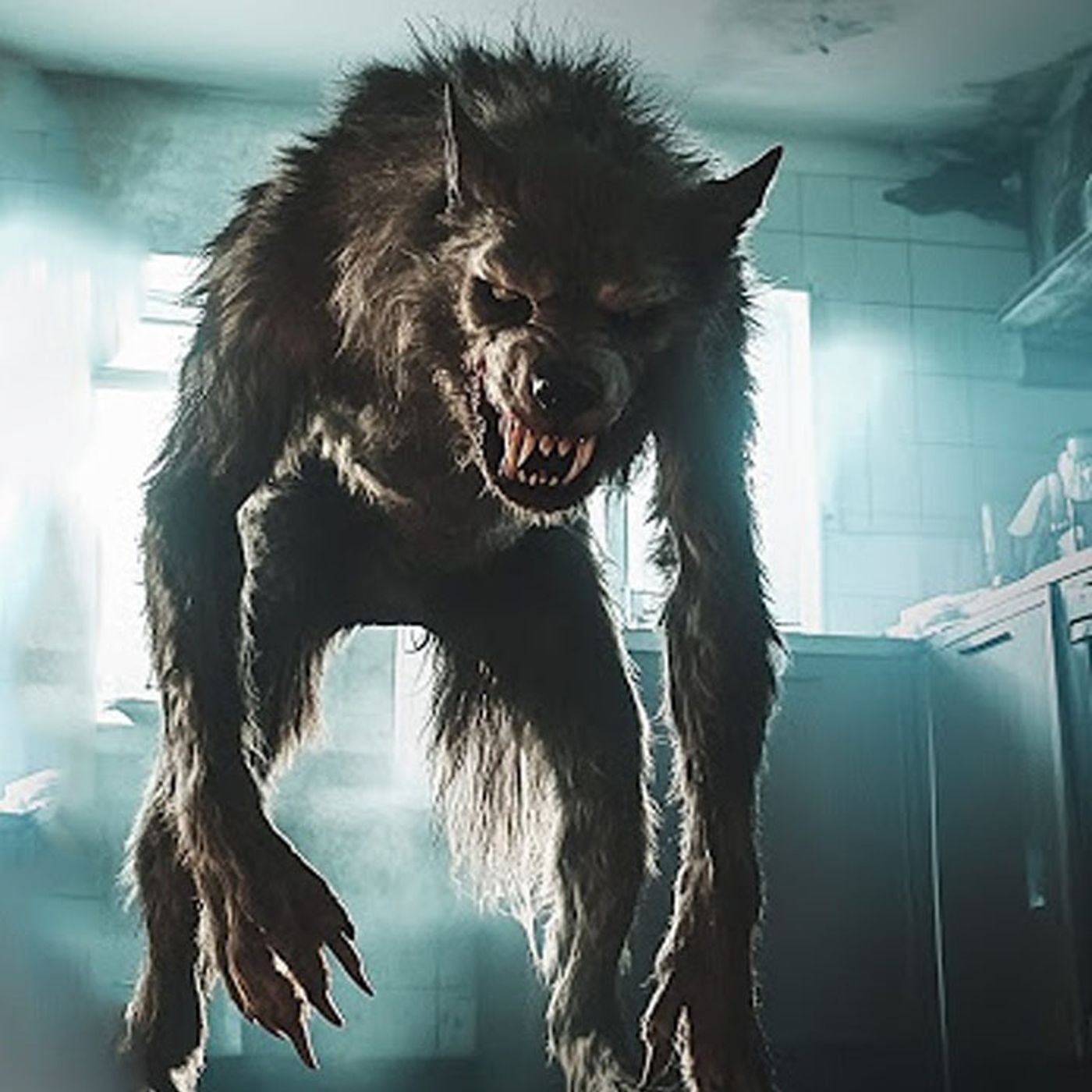 El NAHUAL Del Convento De San Francisco - Historias De Terror - Voces De La Noche