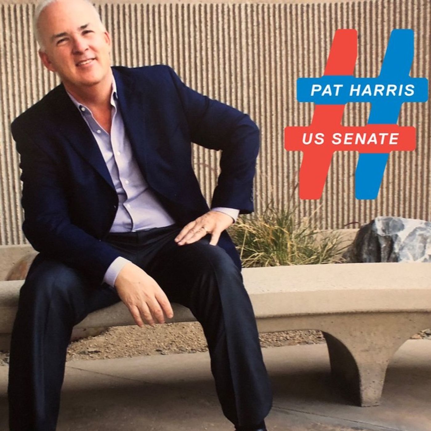 SN. 4/ EP. # 137 - Pat Harris- The Unapologetic Progressive Candidate for US Senate CA episode artwork