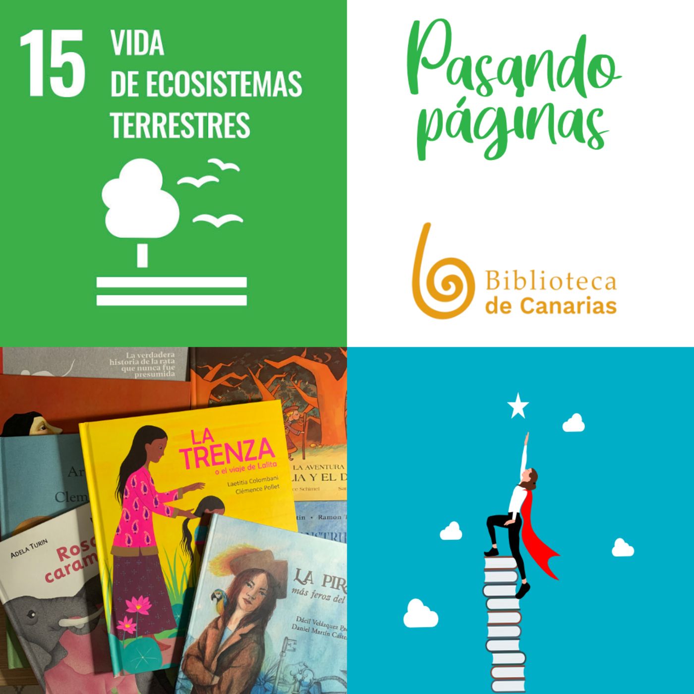 Pasando Páginas