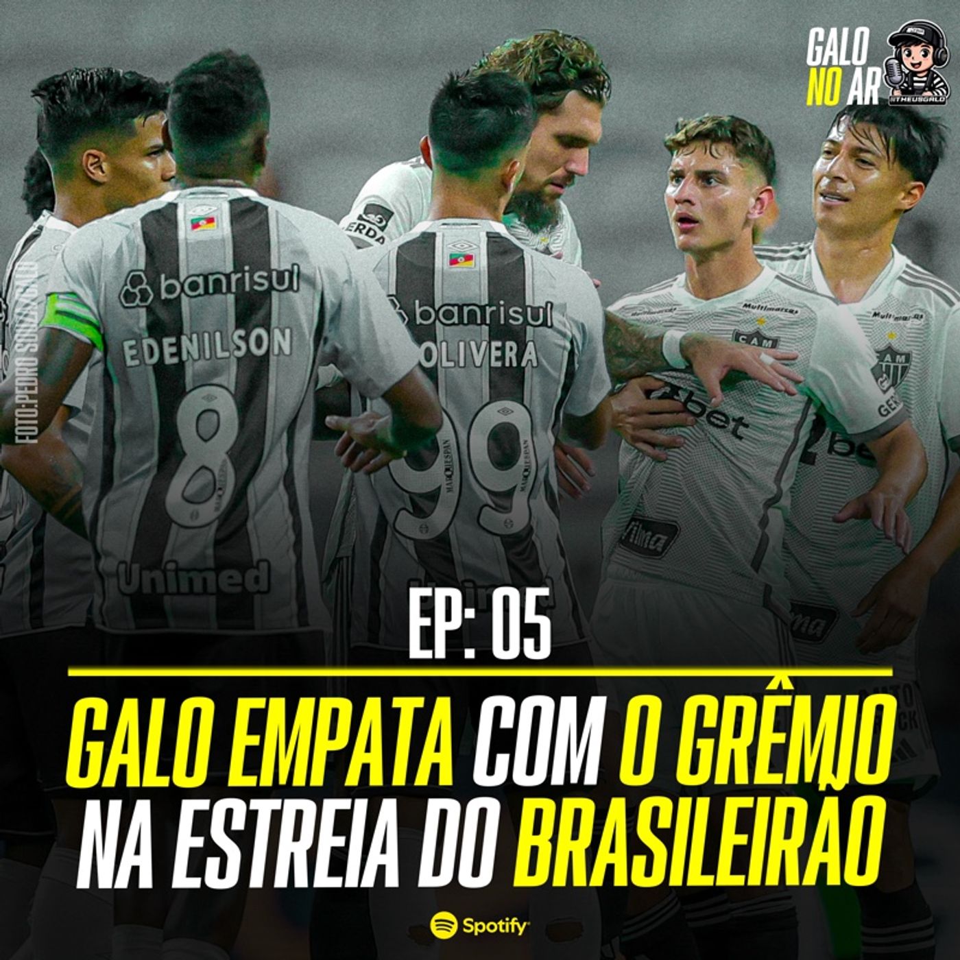 Galo No AR