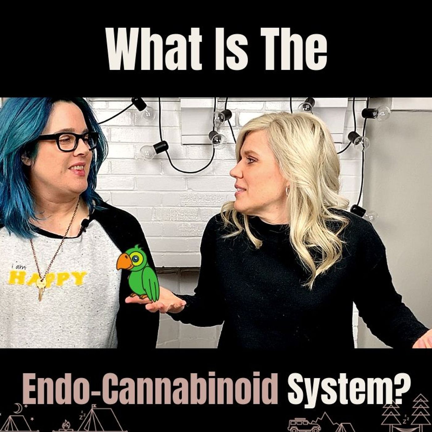 CBD Q&A