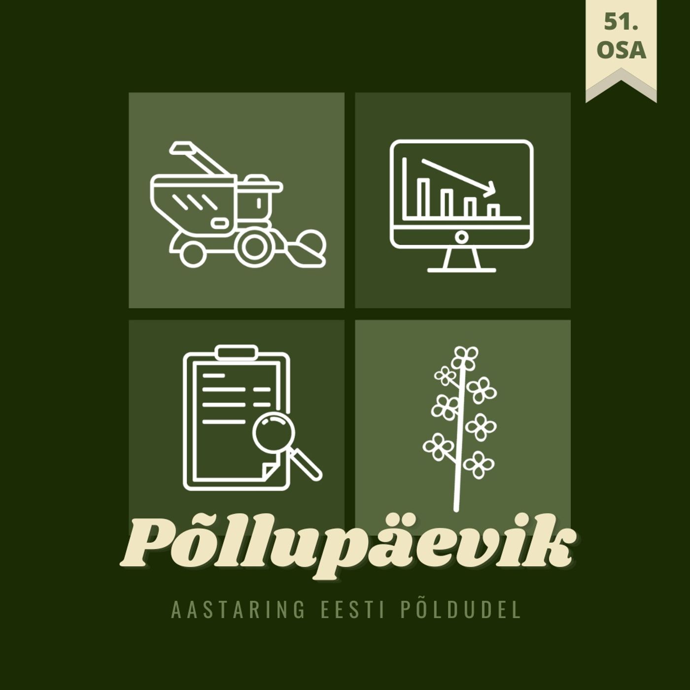 Põllupäevik 51 | 2024. Viljakaubanduse eri: esimesed saaginumbrid