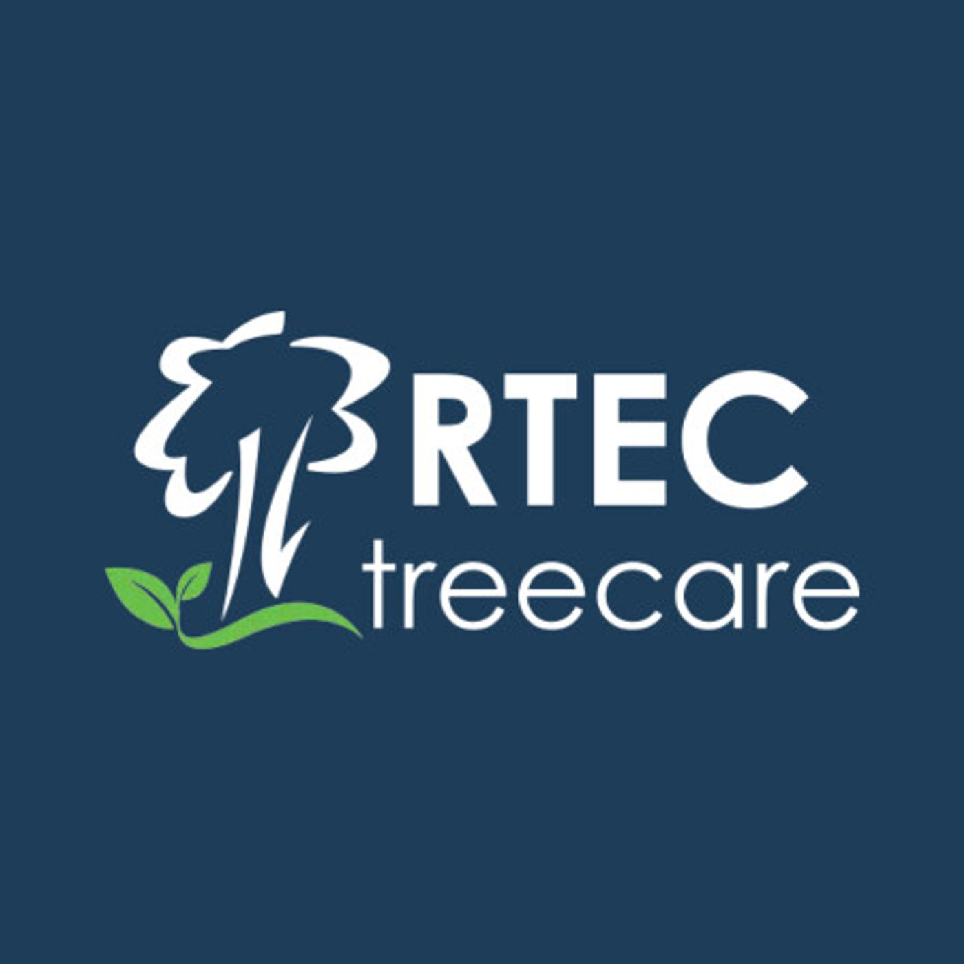 Expert Talk on Tree Removal Services, St