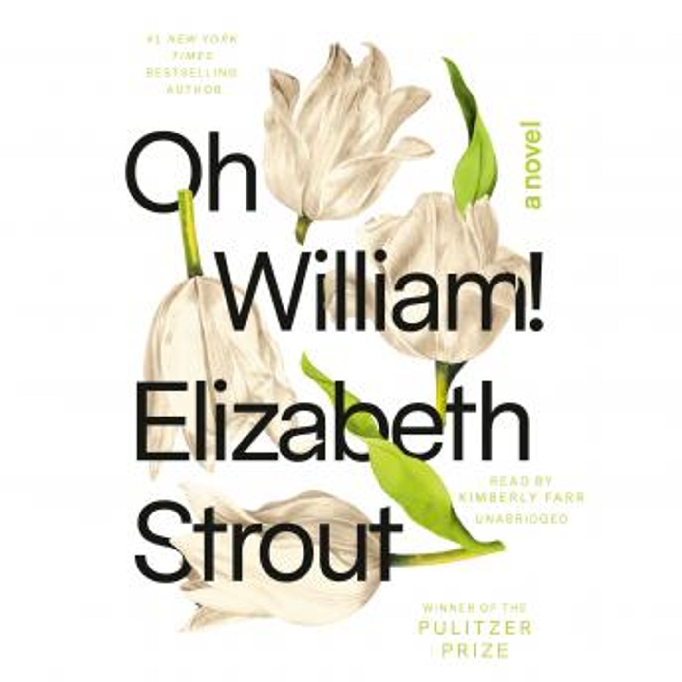 Download Best Full Audiobooks in Fiction, Drama