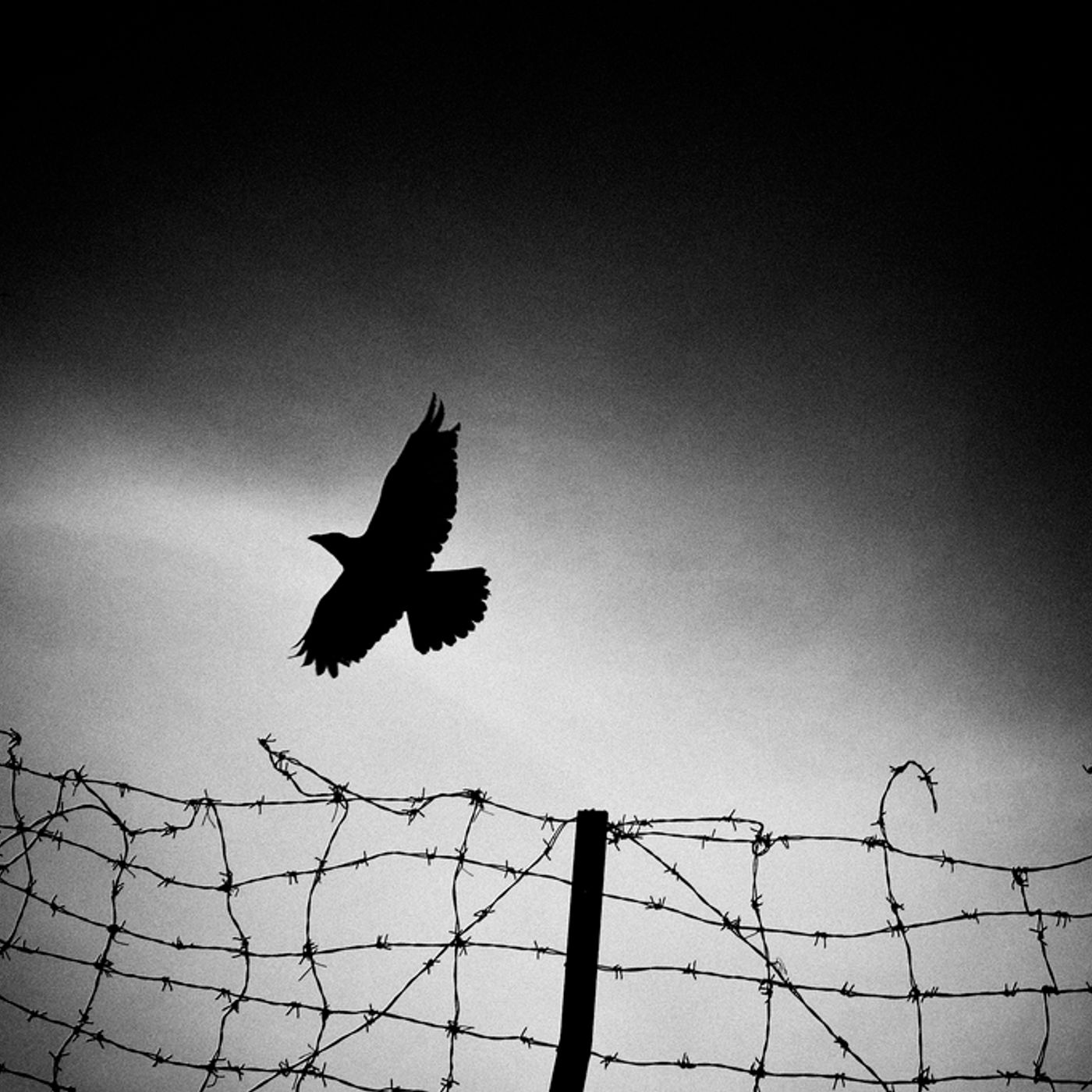 Gorehound's Metal Session