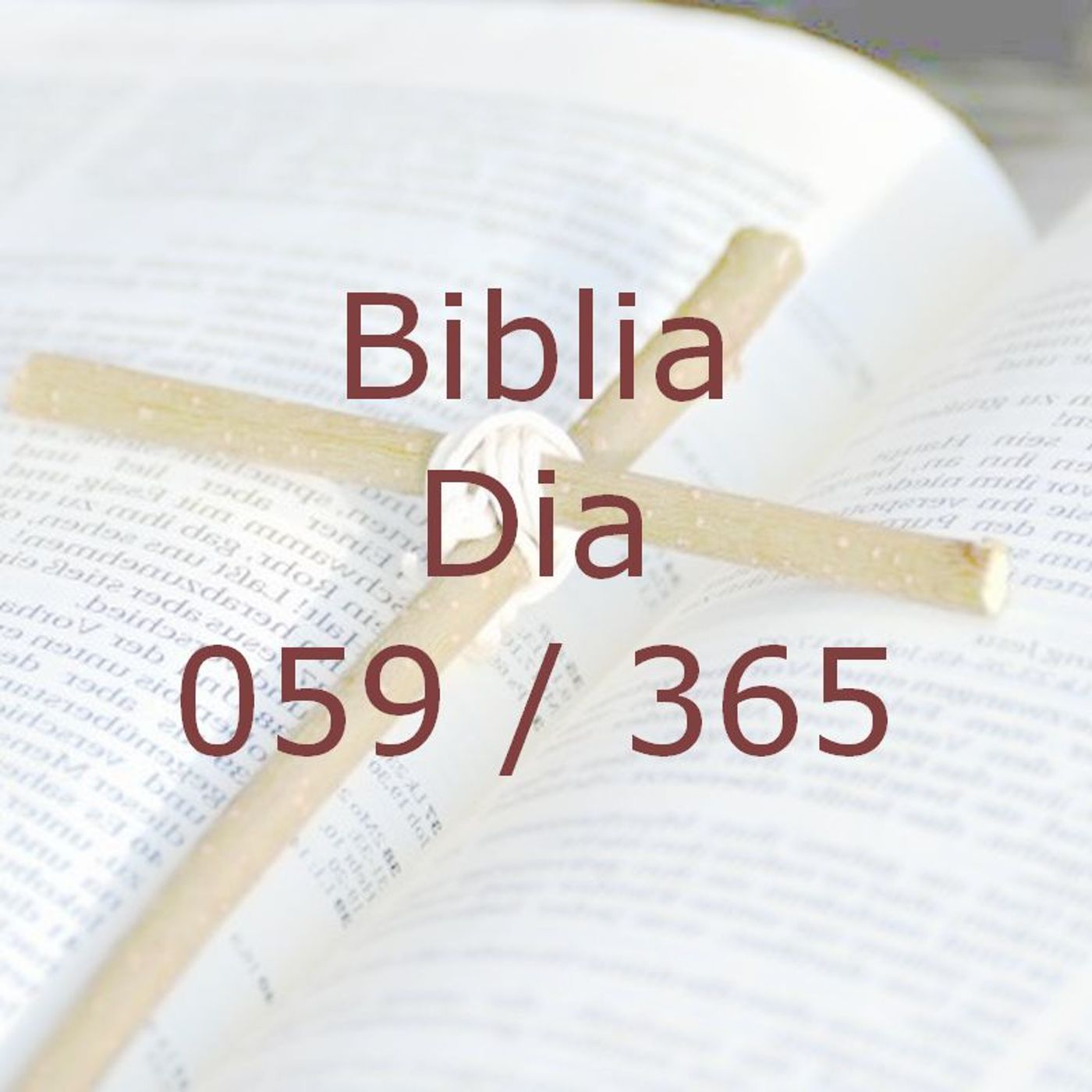 La Biblia en 365 dias