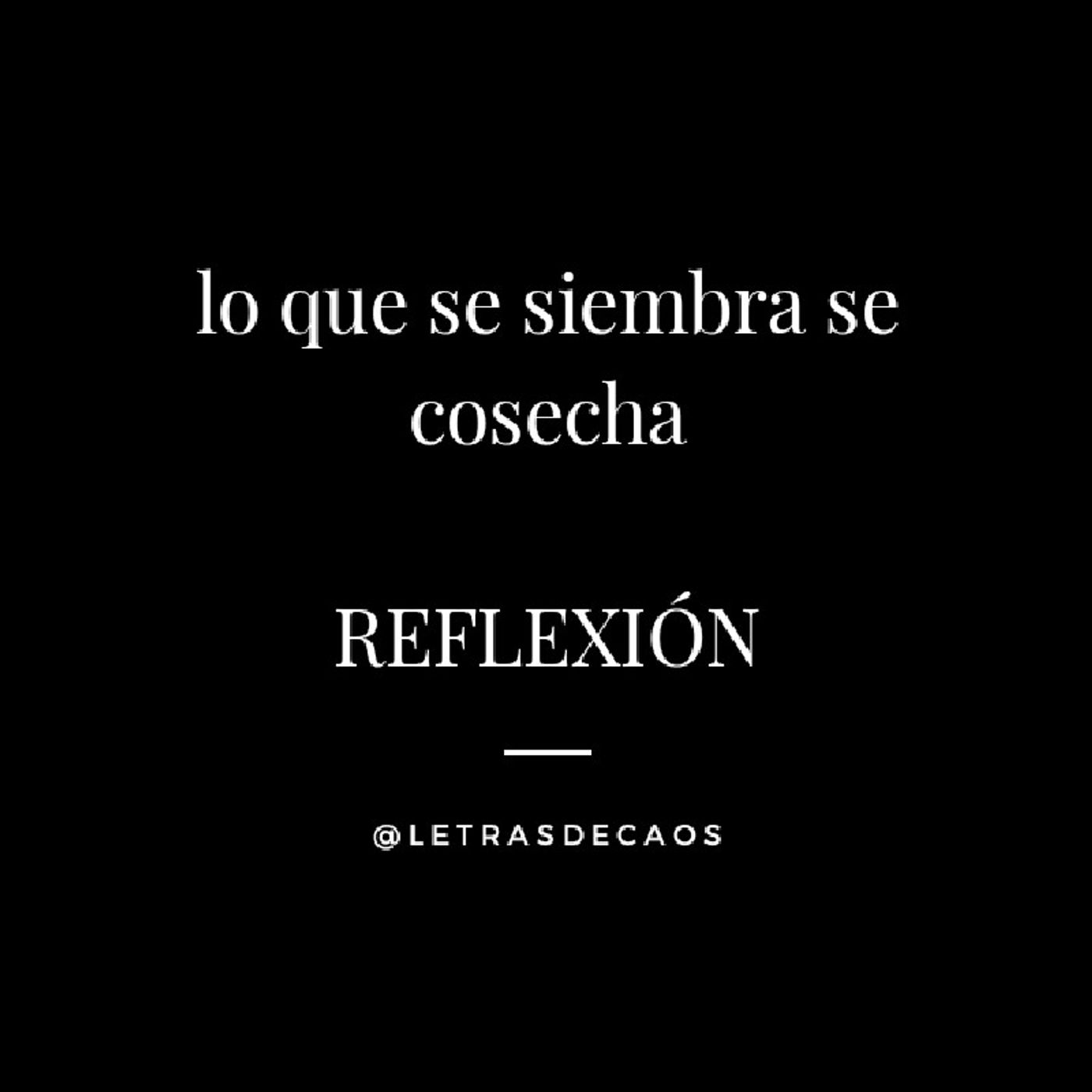 Letras De Caos