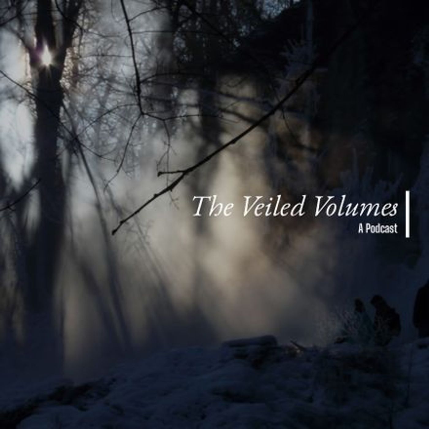 The Veiled Volumes Podcast