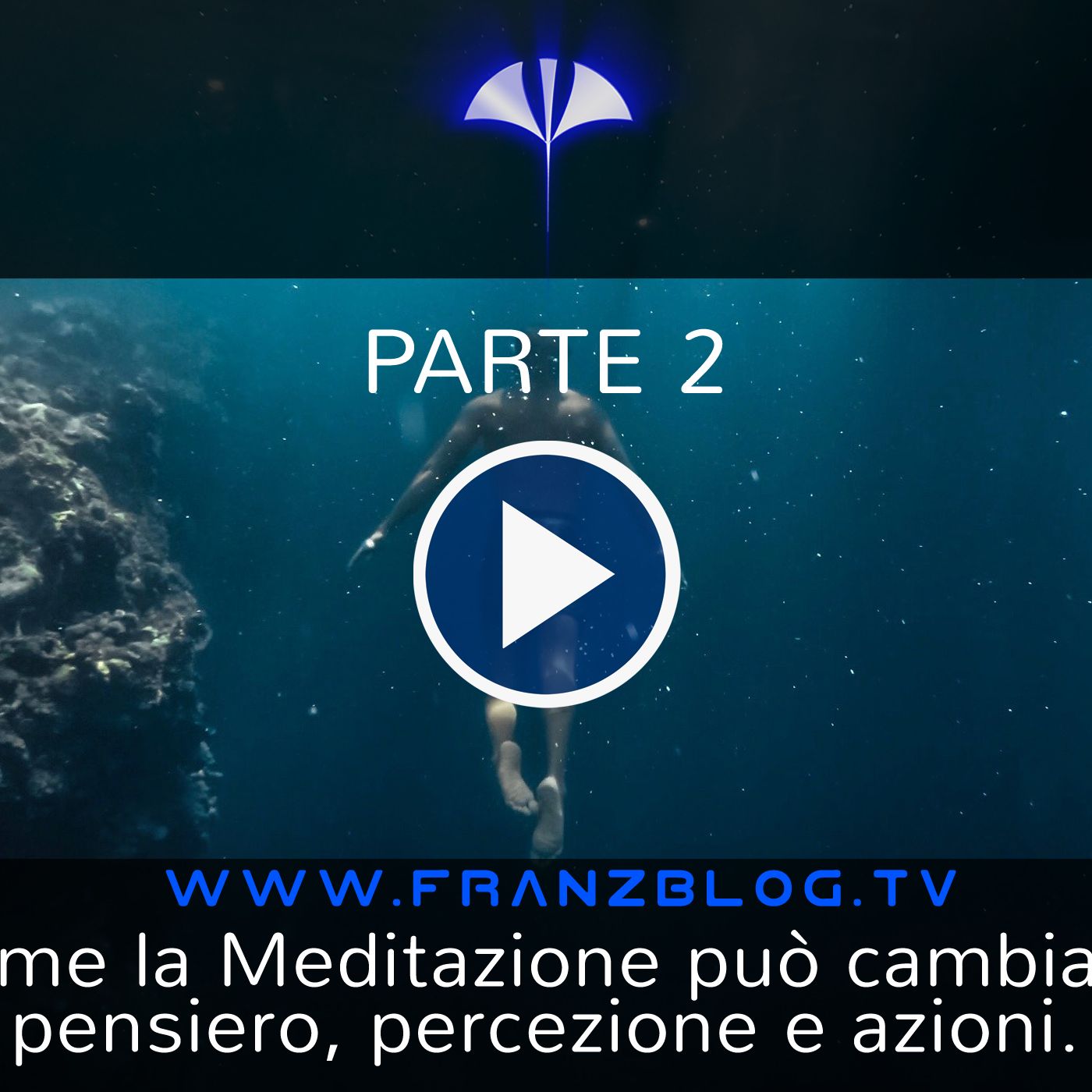 Franz\'s Blog