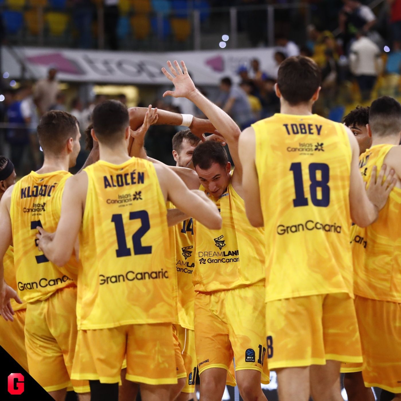 Gigantes Daily, baloncesto al día