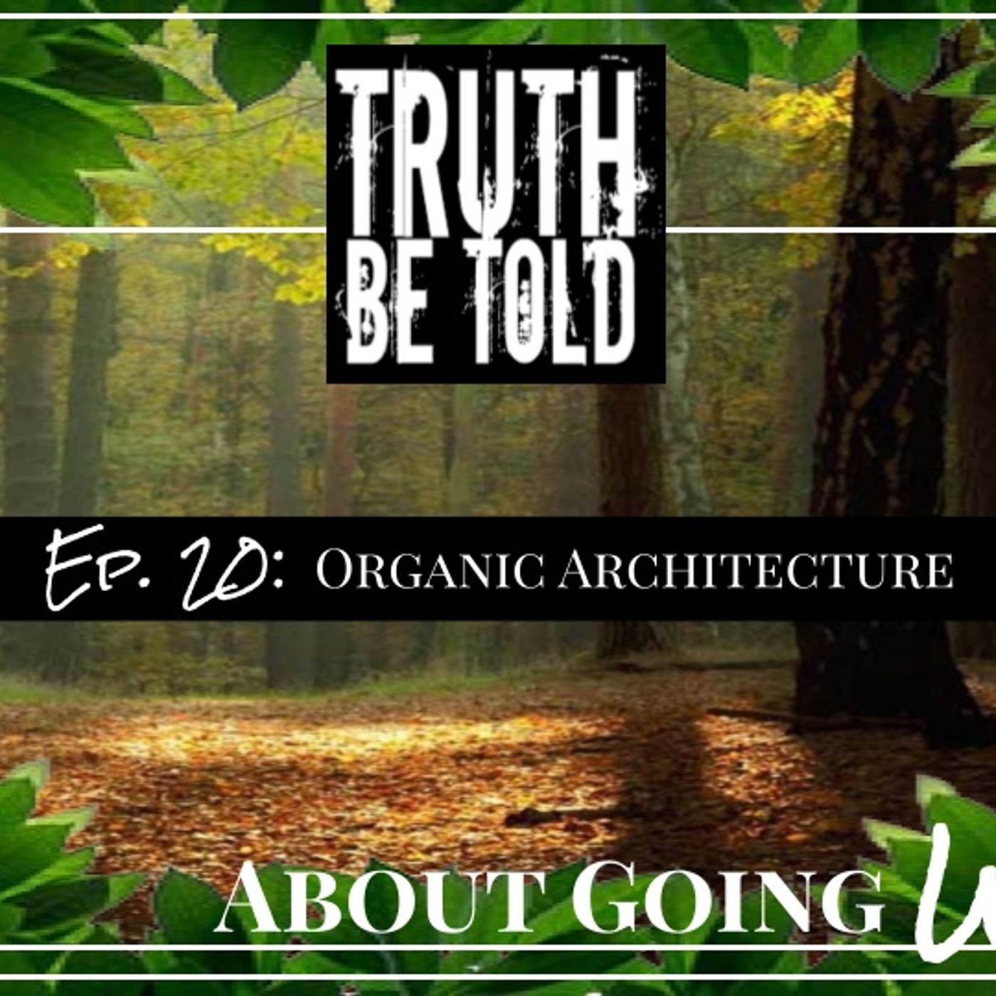 TBT About Going Wild - Ep. 20: "Organic Architecture"