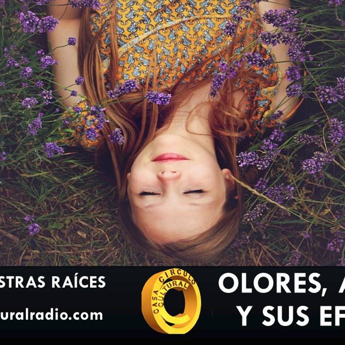 La Voz de Nuestras Raices