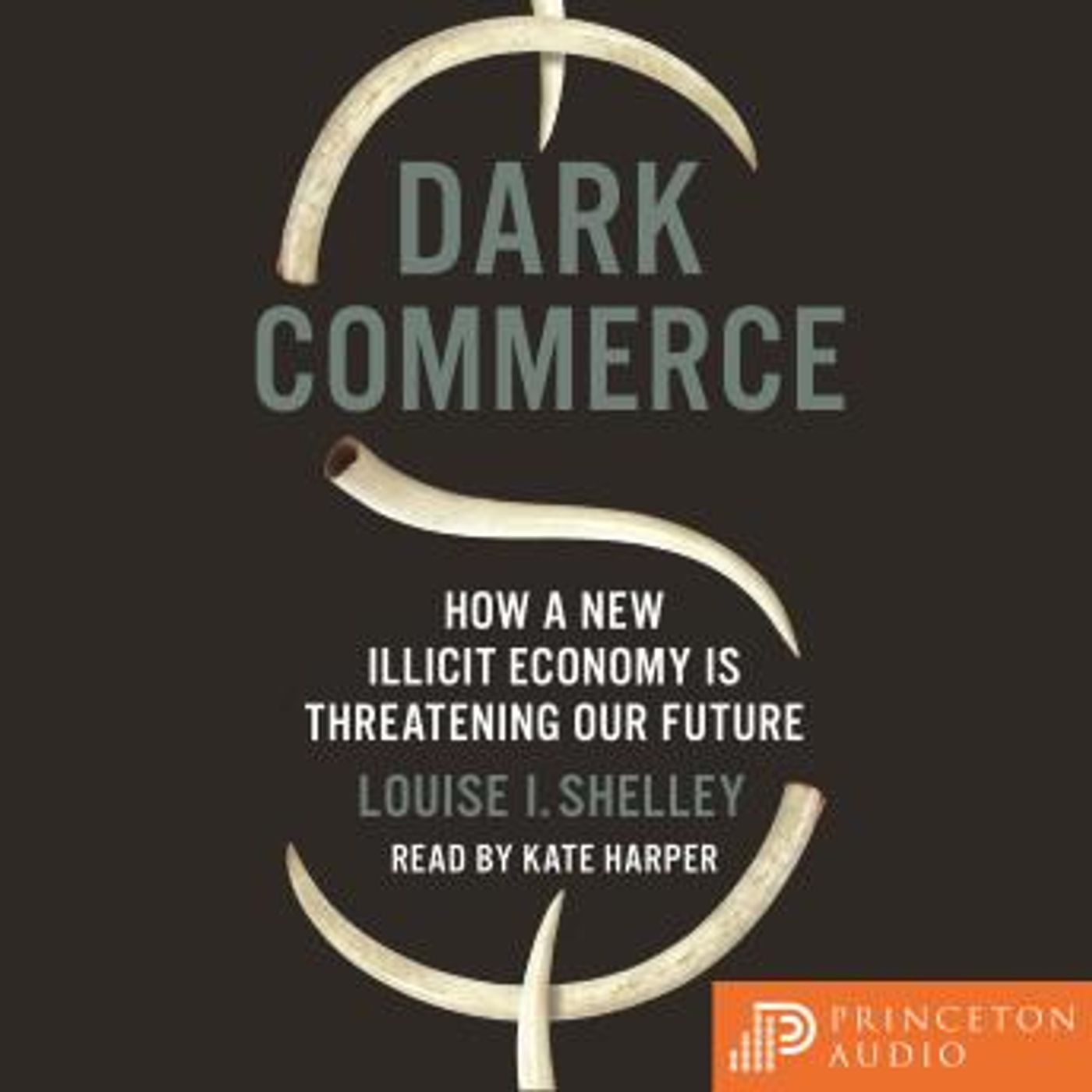 Dark Commerce: How a New Illicit Economy Is Threatening Our Future by Louise I. Shelley episode artwork