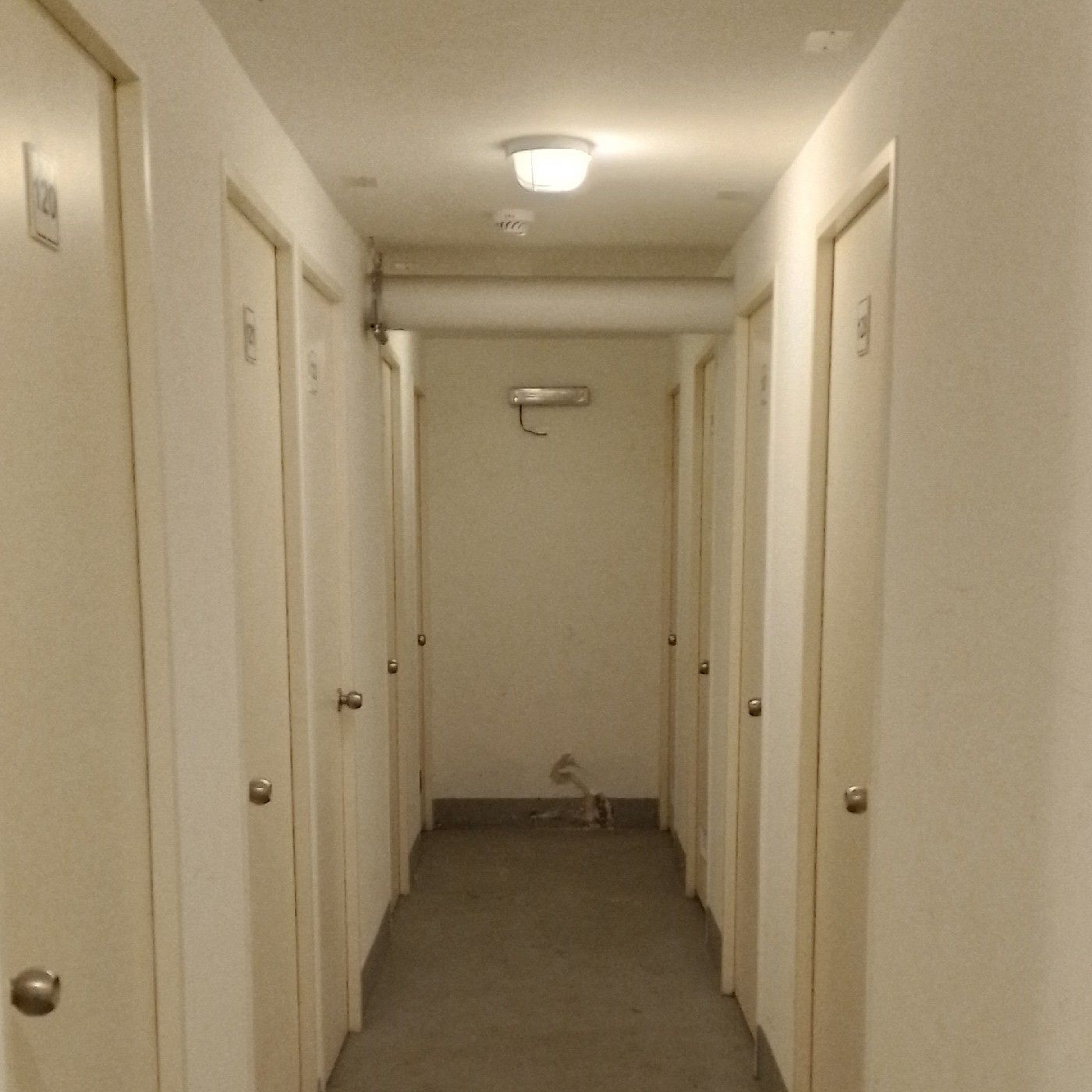 Entre la realidad y la liminalidad