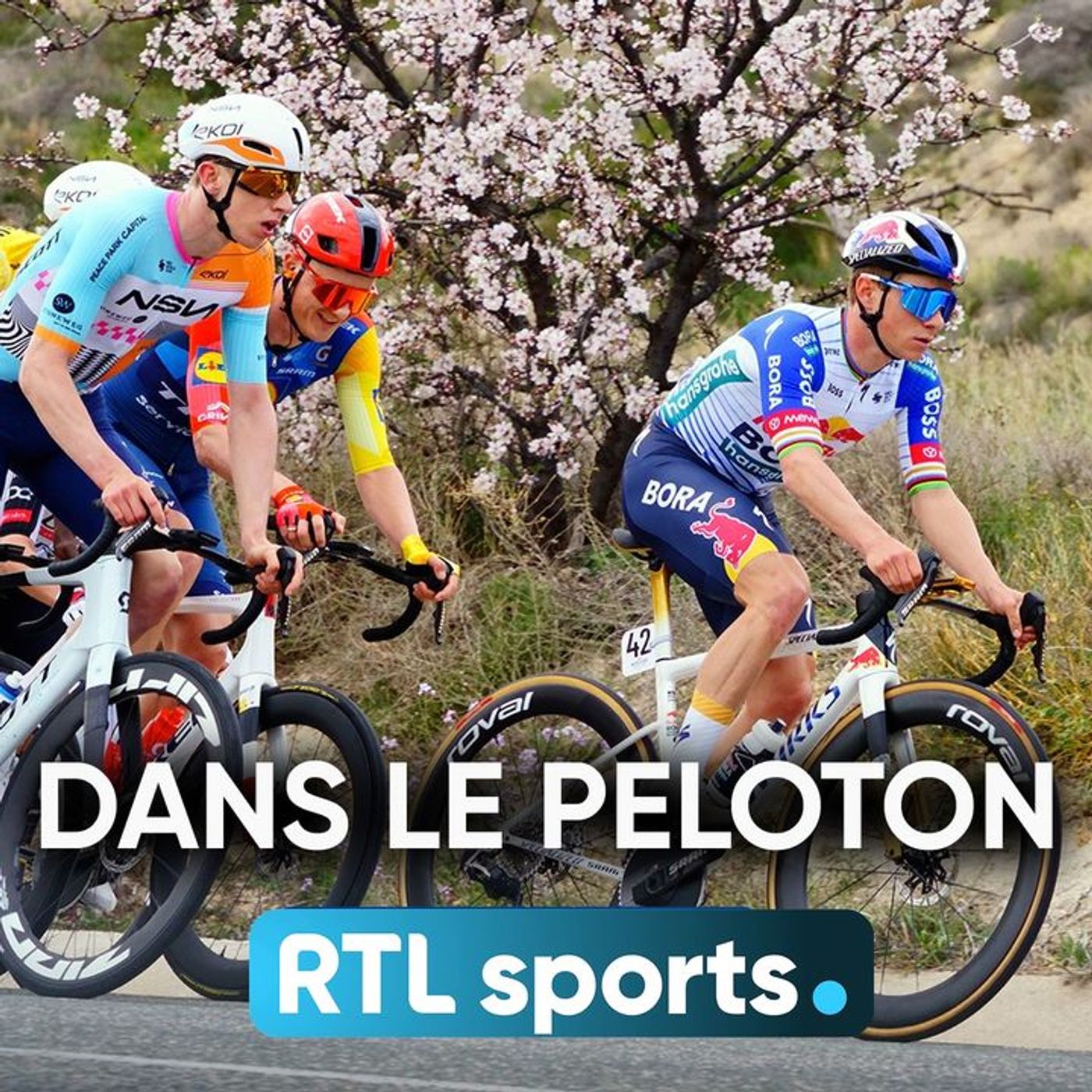 Dans le peloton - Le podcast 100% cyclisme !