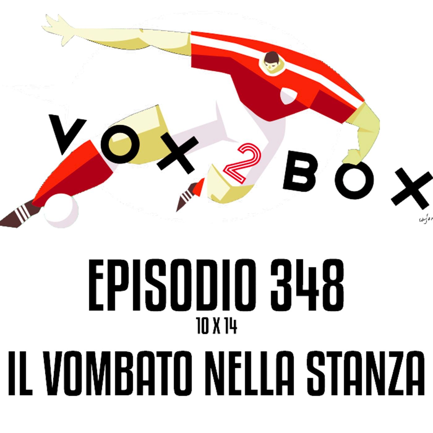 Episodio 348 (10x14) - Il vombato nella stanza