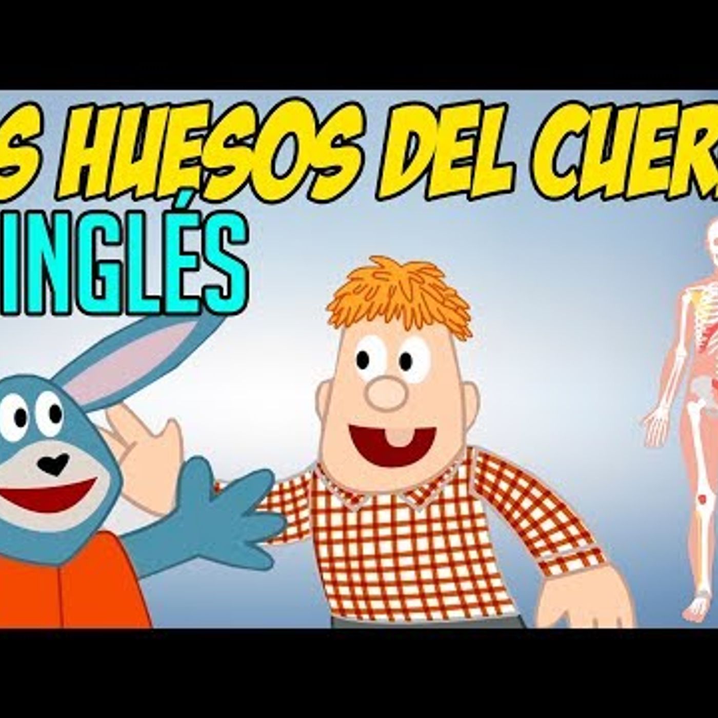 112. Los HUESOS del cuerpo en INGLÉS para niños