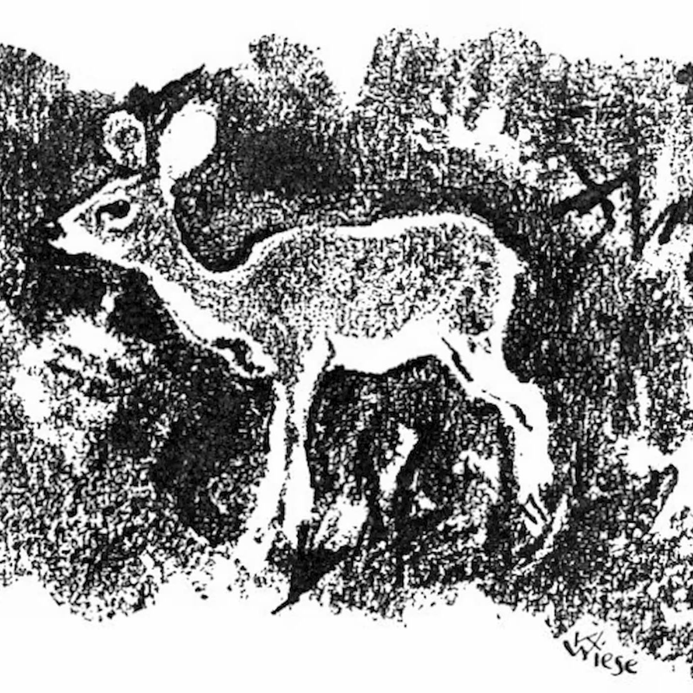 Bambi (Full Book) | Classic Animal Stories episode artwork