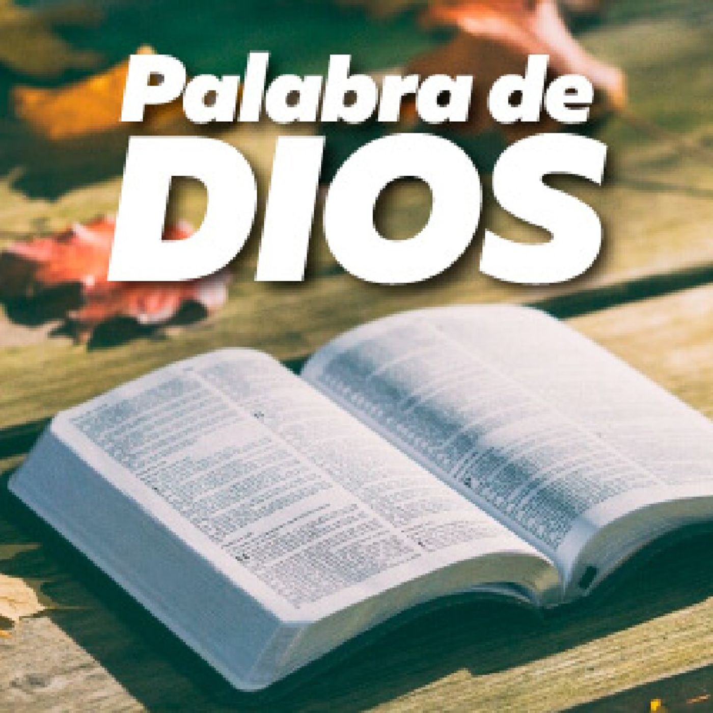 La Reflexión del Día "Tu Palabra me alimenta Señor" episode artwork