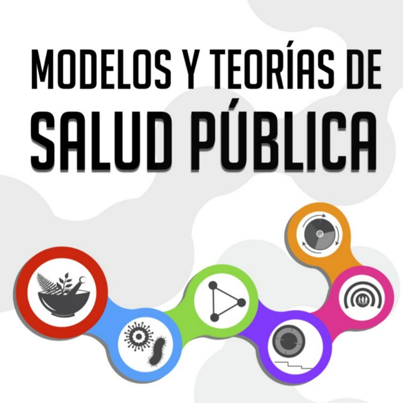 Modelos en la salud pública del siglo XX
