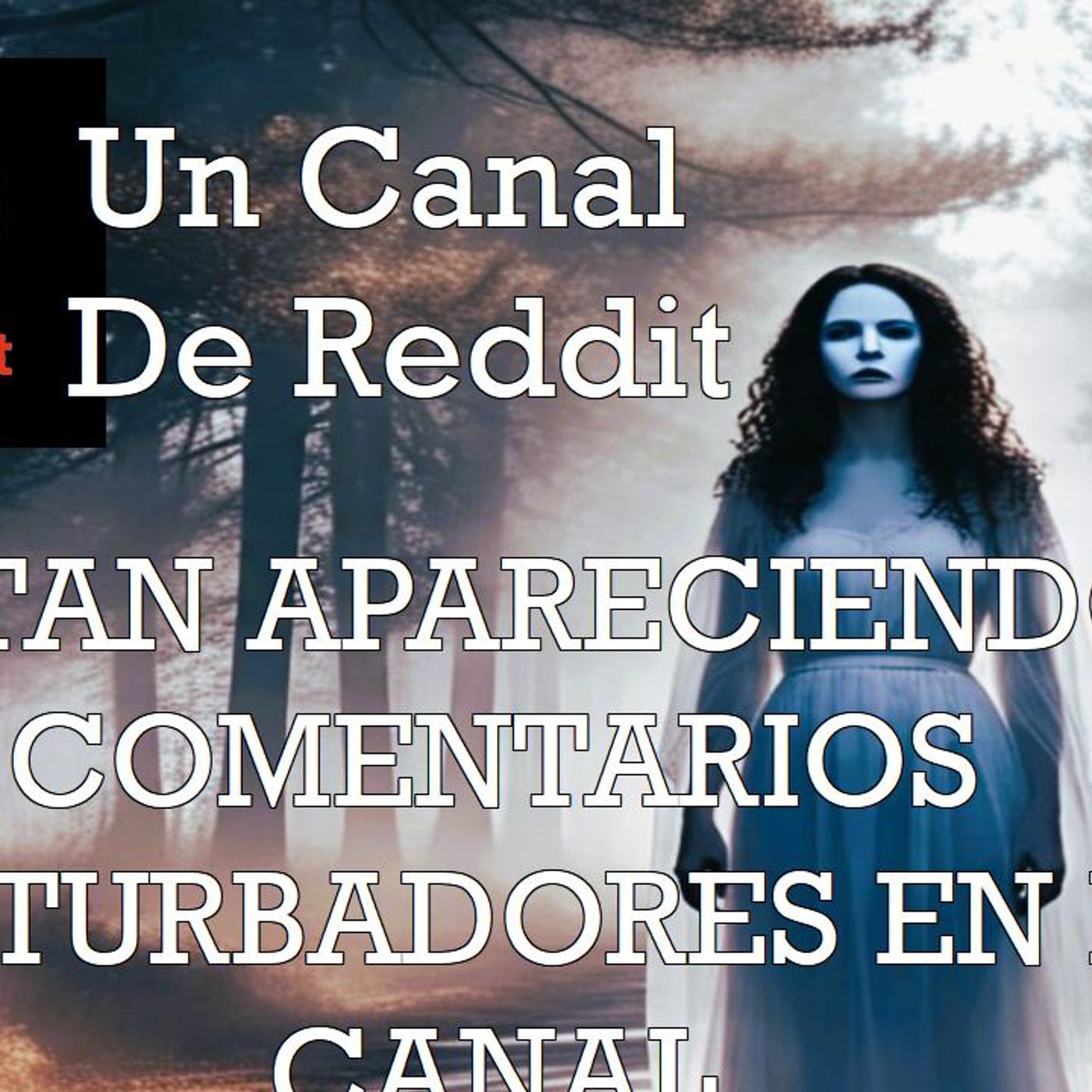 Un Canal de Reddit