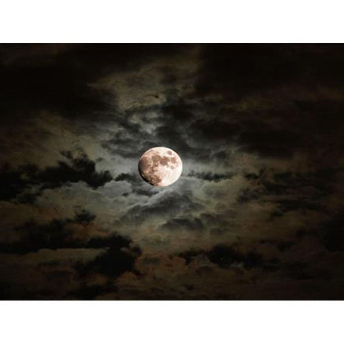 The ZOE MOON ASTROLOGY SHOW ~ New Moon Solar Eclipse episode artwork