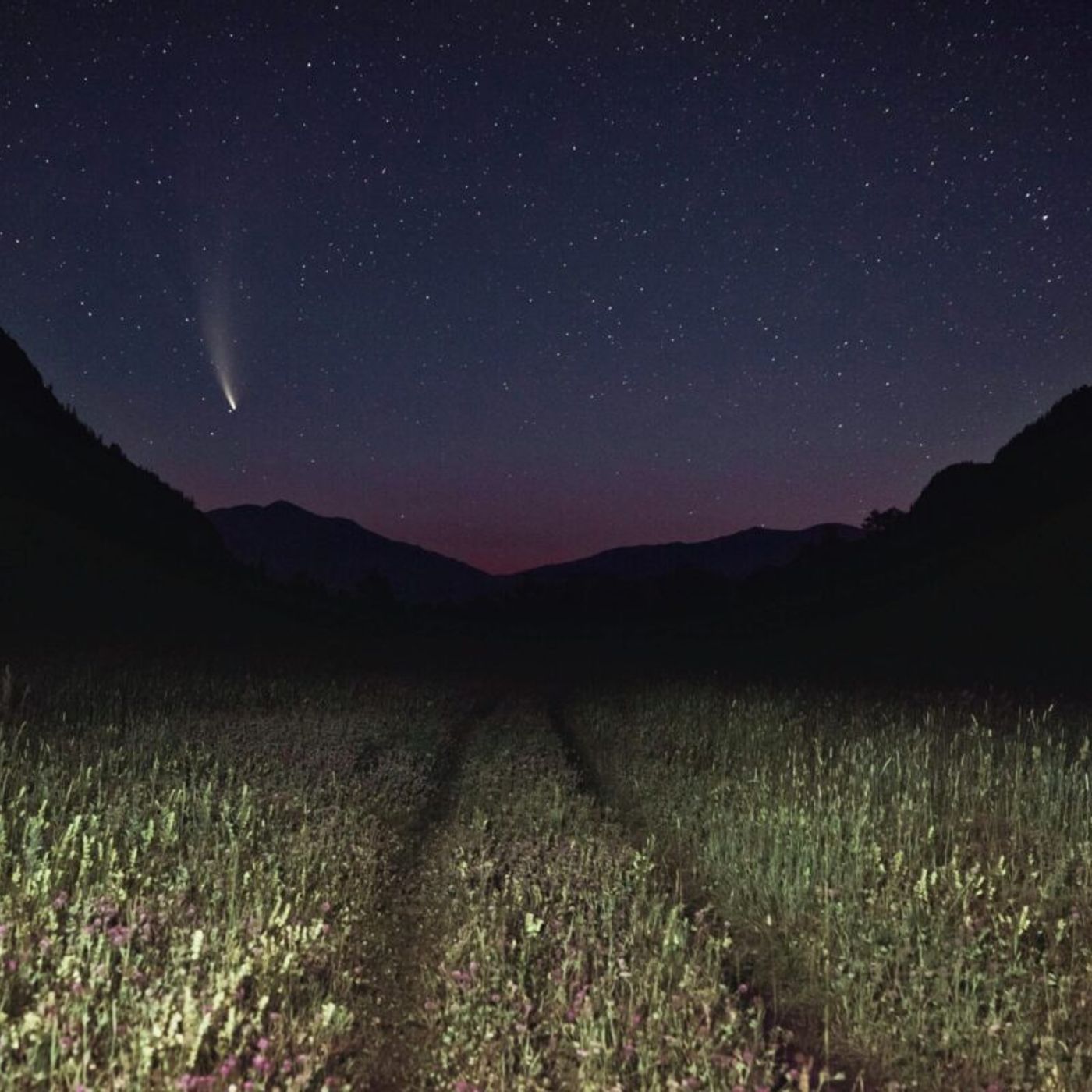 La Voce di Eugenio: Riflessioni, Vangelo e Poesia