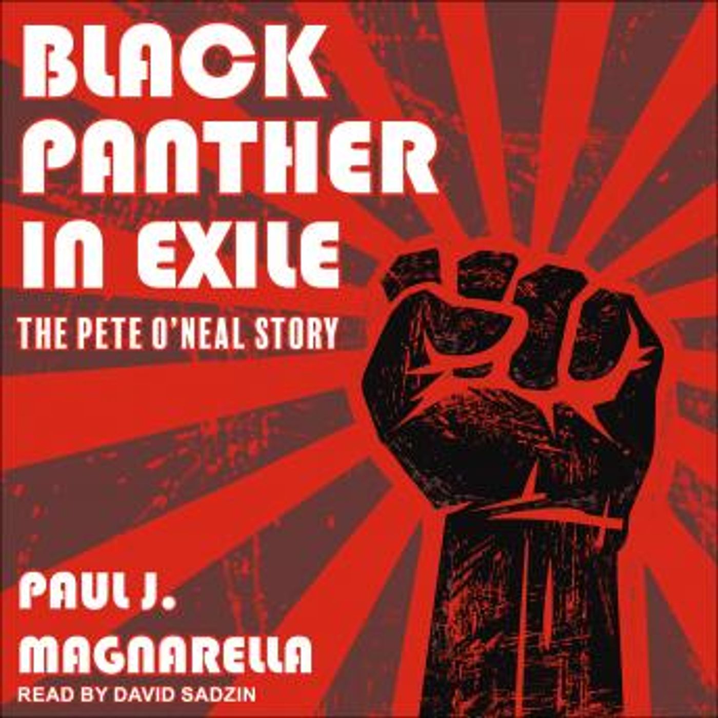 Best Full-Length Audiobooks in Non-Fiction, Current Affairs, Law, & Politics