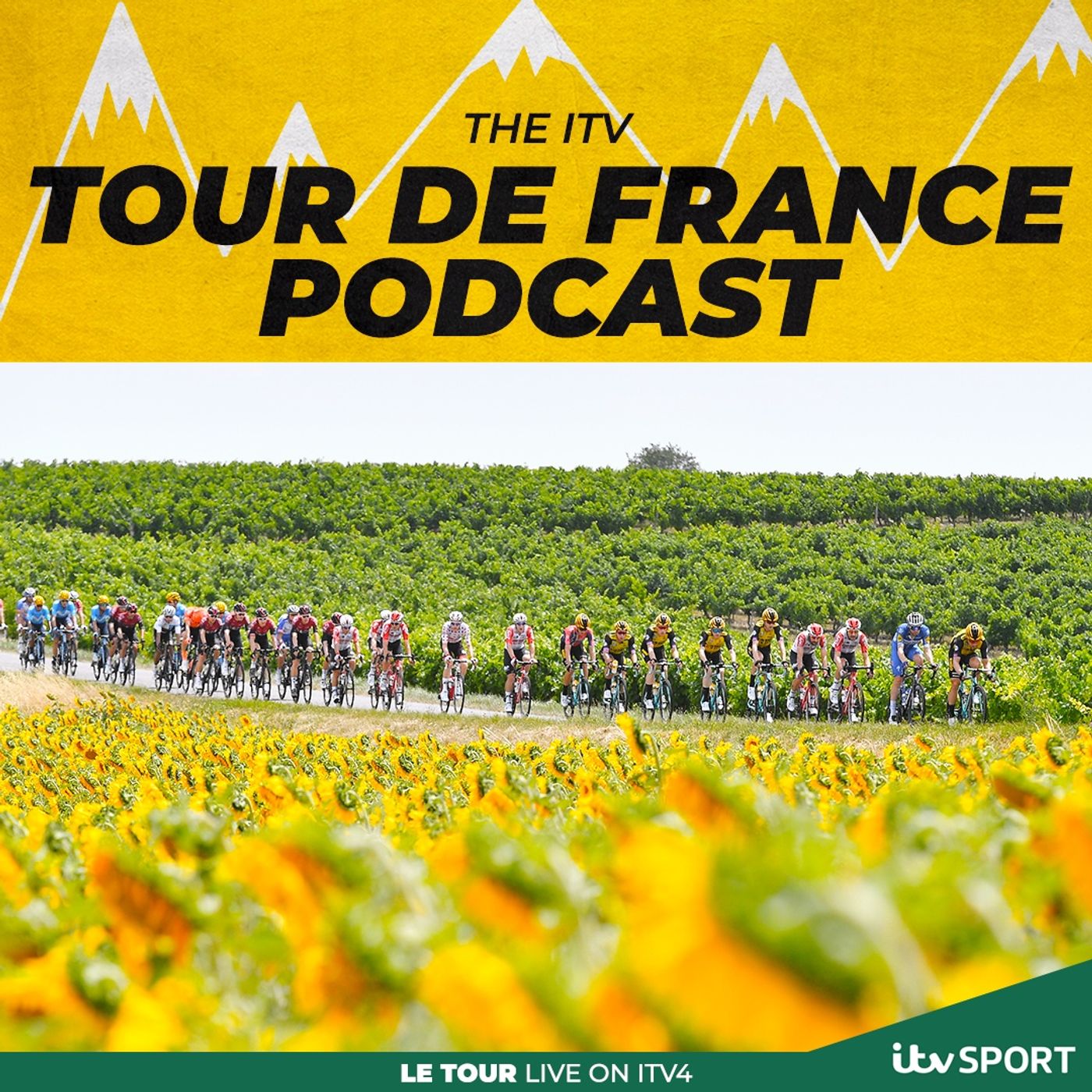 Tour de France Podcast 2019: Stage 11