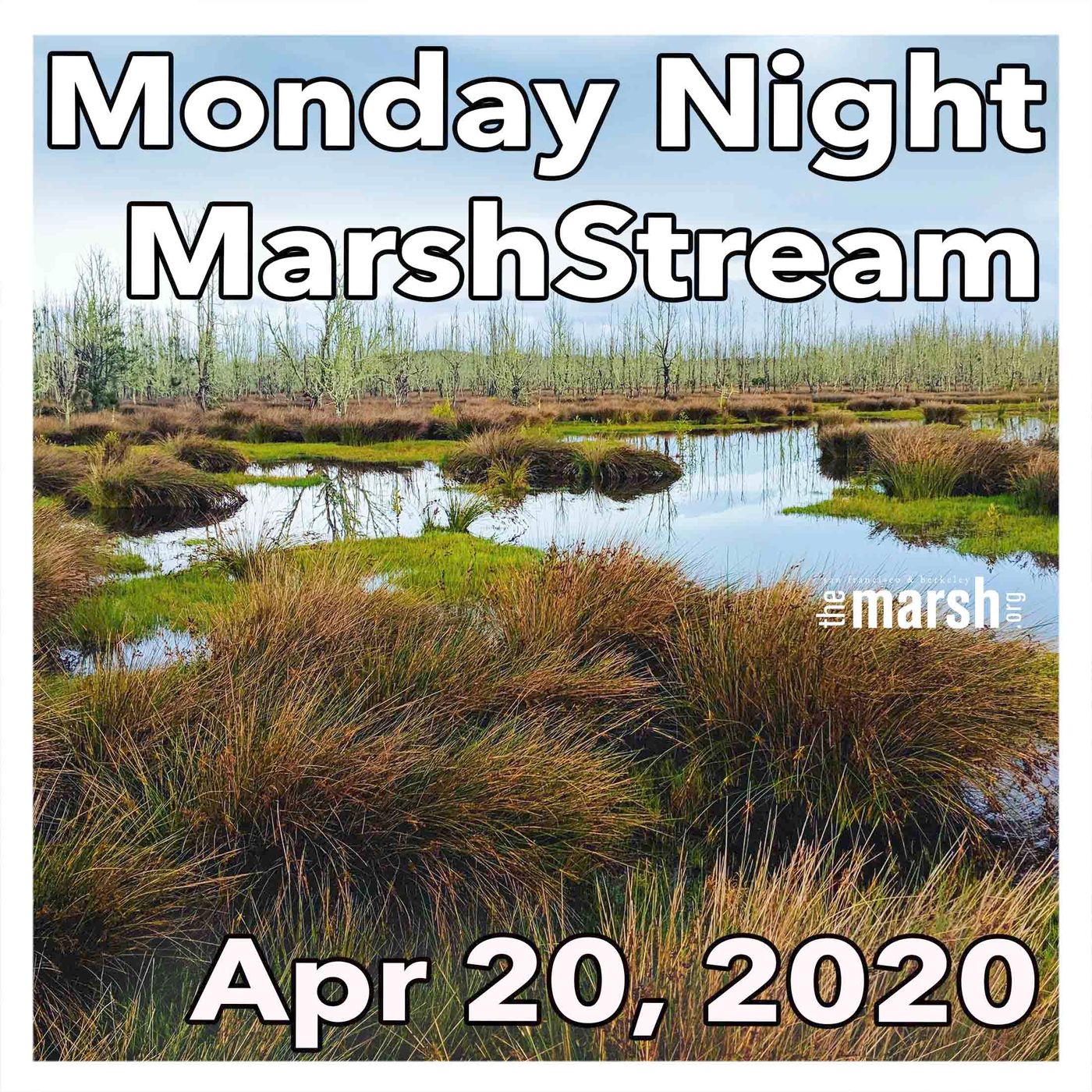 MarshStream, a podcast from The Marsh