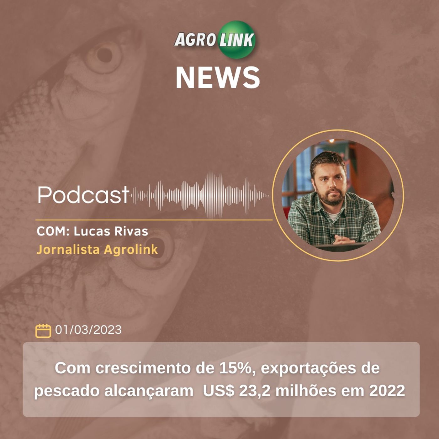 Setor adubos comemora queda de 70% do valor do insumo episode artwork