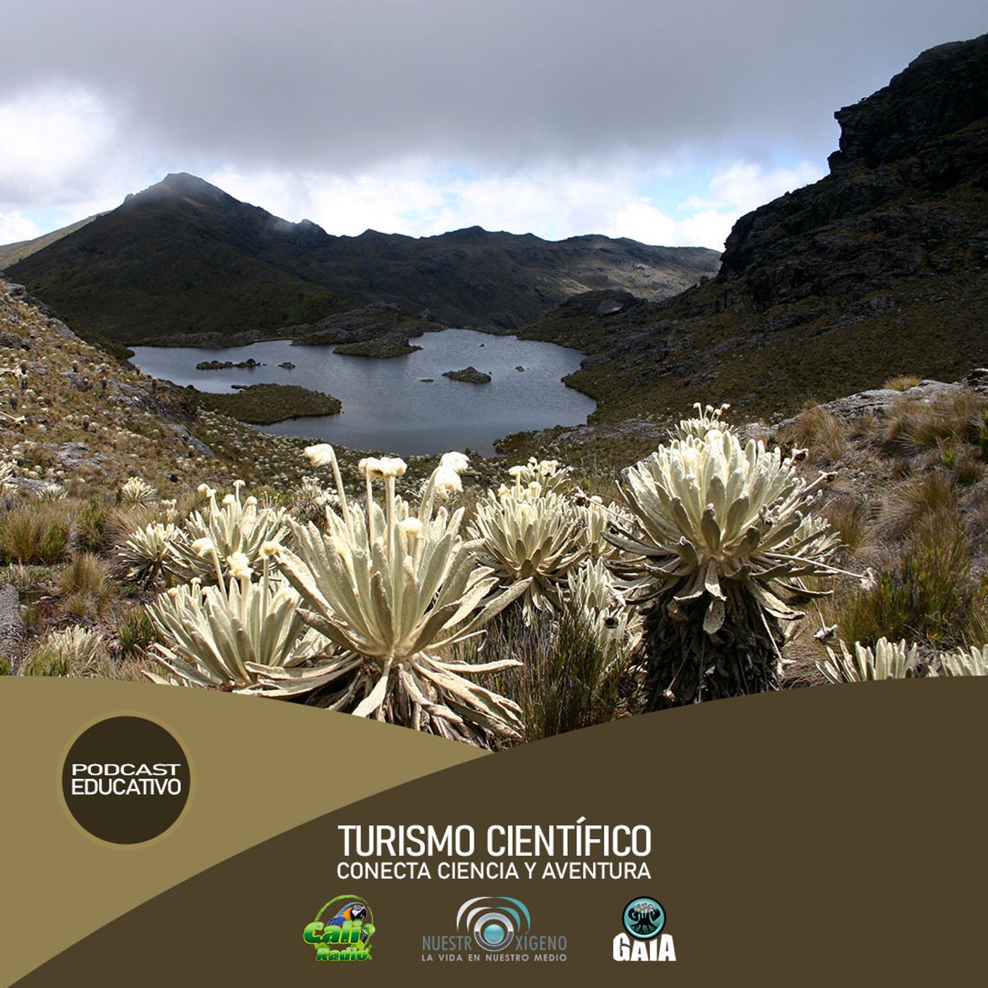 2024 Nuestro Oxígeno 02- Febrero