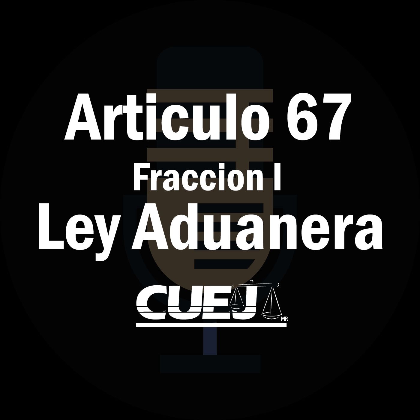 Audio Ley Aduanera