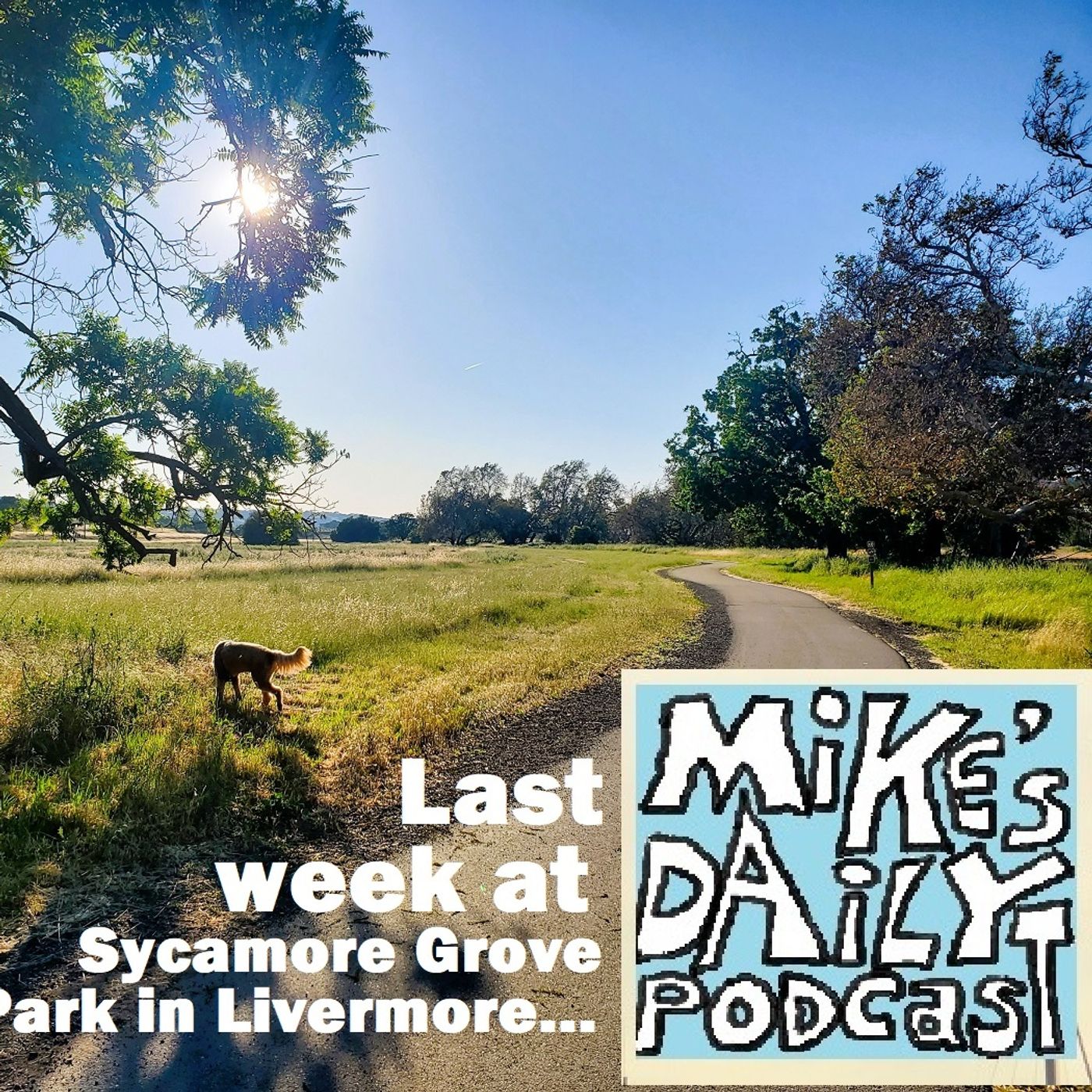 Mike\'s Daily Podcast