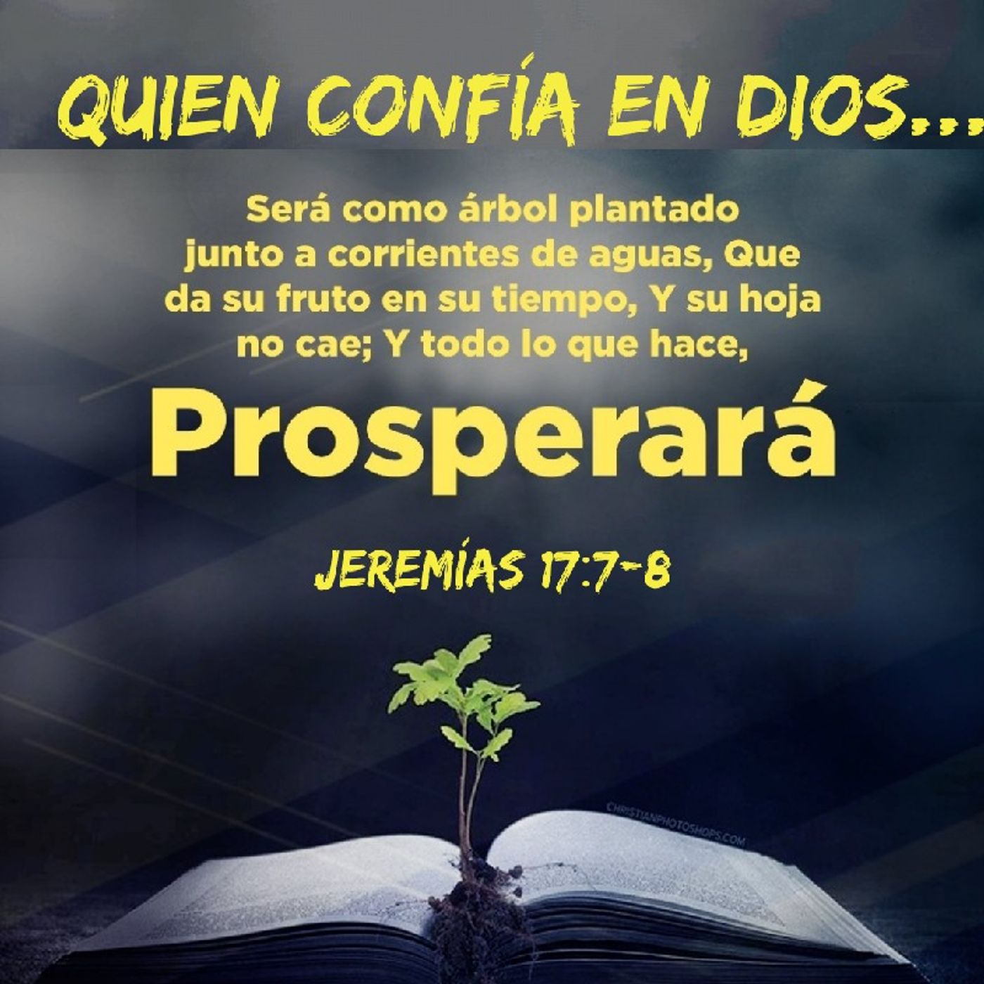 Reflexión Oasis Espiritual.  E. Lizcano